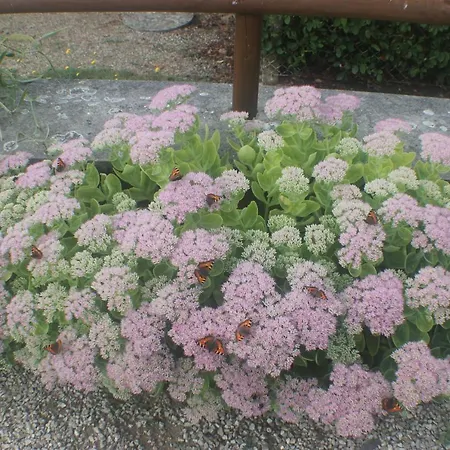 Holiday home Romantic Vire-Normandie