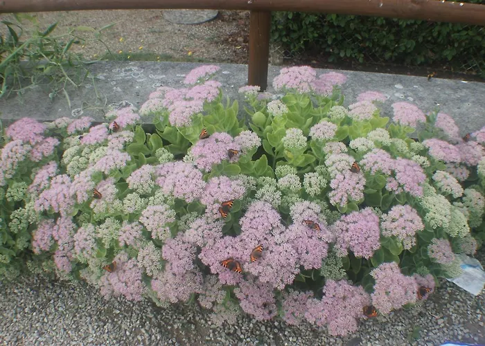 別荘 Romantic Viré